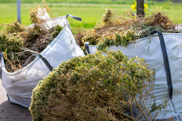 Best Shed Removal  in Stuart, FL